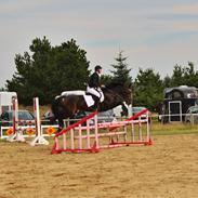 Anden særlig race Dee Dee