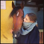 Tysk Sportspony Carlos con Diegos