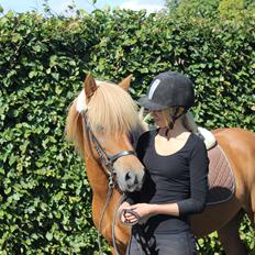 Islænder Fina-Gloa fra Jespergaard