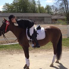 New Forest Danique *Pensionist*