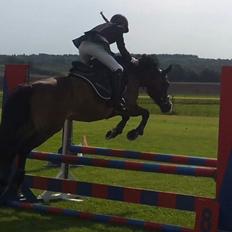 Anden særlig race Cassiopeia