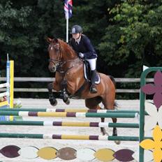 Dansk Varmblod Chili-Z (Ramona)