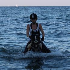 DSP Solvanggårds Diadem