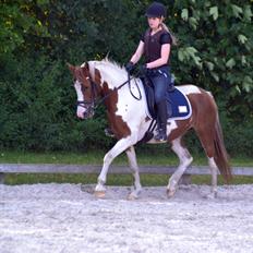 Pinto Isabella Stensbæk