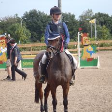 Anden særlig race Mr. Abel