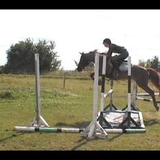 Anden særlig race Isobell