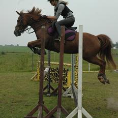 Anden særlig race Isobell