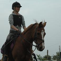 Anden særlig race Isobell