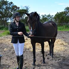 DSP Castellana Kærlund **5/9-2013** Min engel <3