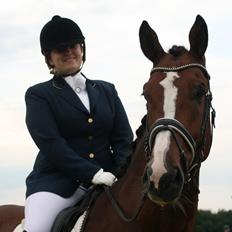 Dansk Varmblod Bøgegårdens "aladin"