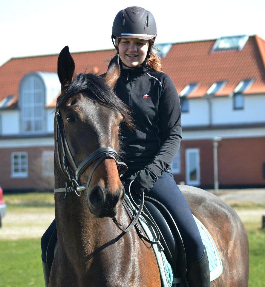 Oldenborg Cornett (solgt) - han er bare dejlig!<3 billede 6