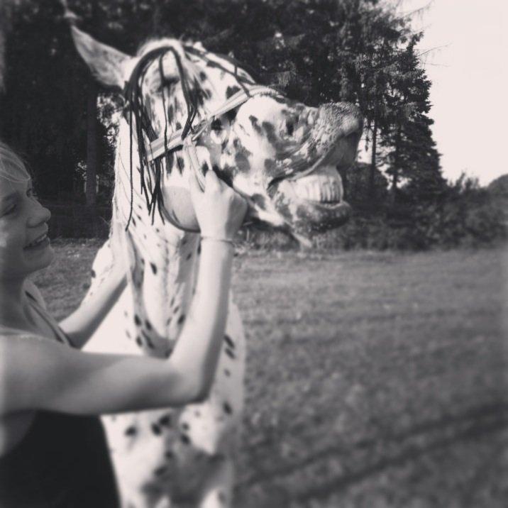 Knabstrupper Smør billede 15