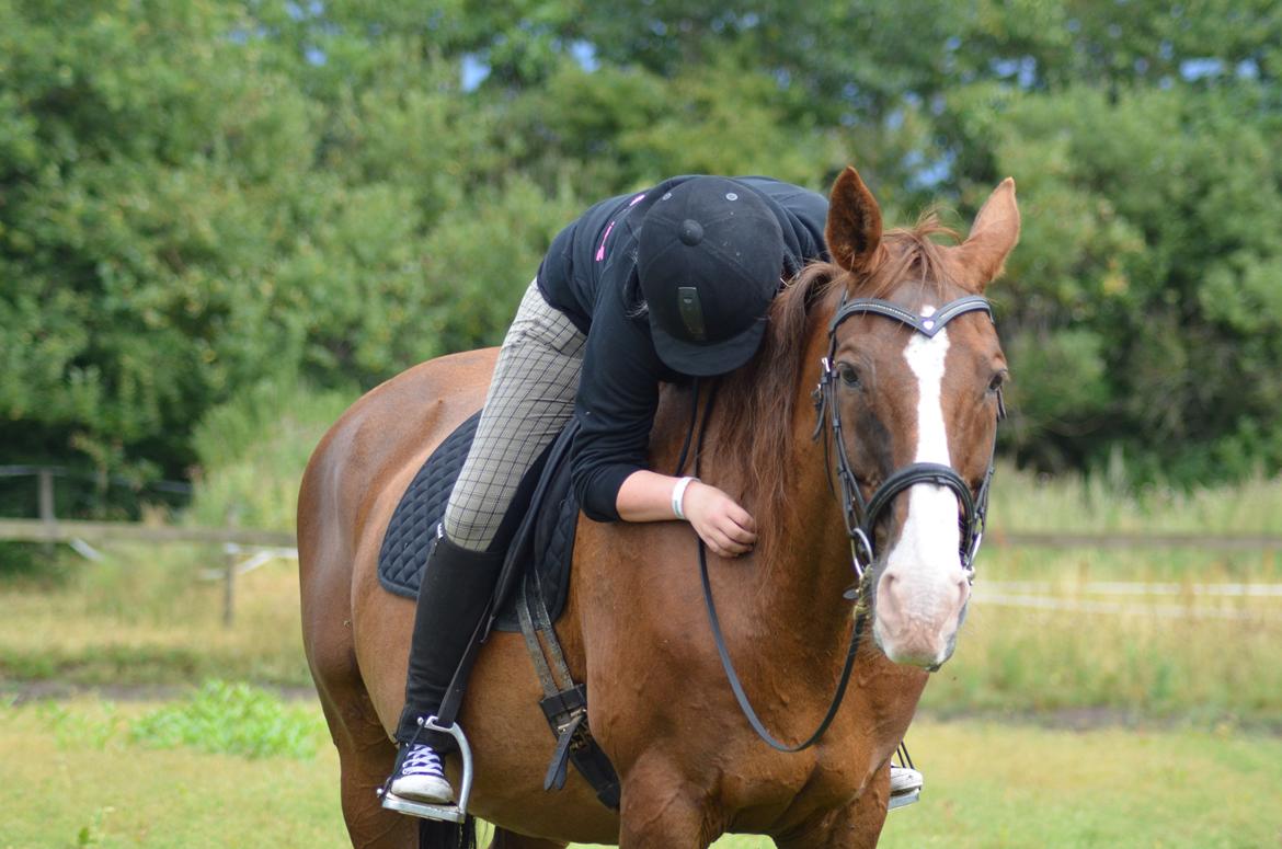 Hannoveraner Nimitz, (Bisnap.) billede 19