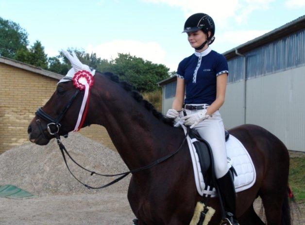 Dansk Varmblod Kronborgs Deco - HINGST billede 24