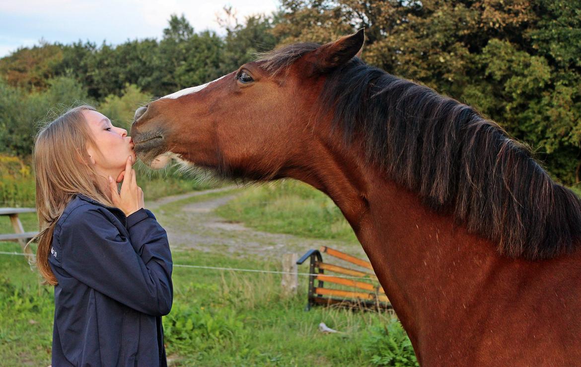 Anden særlig race Hesdalskær's Victoria - September 2013 | Aww hvor jeg elsker hende!♥♥. billede 15