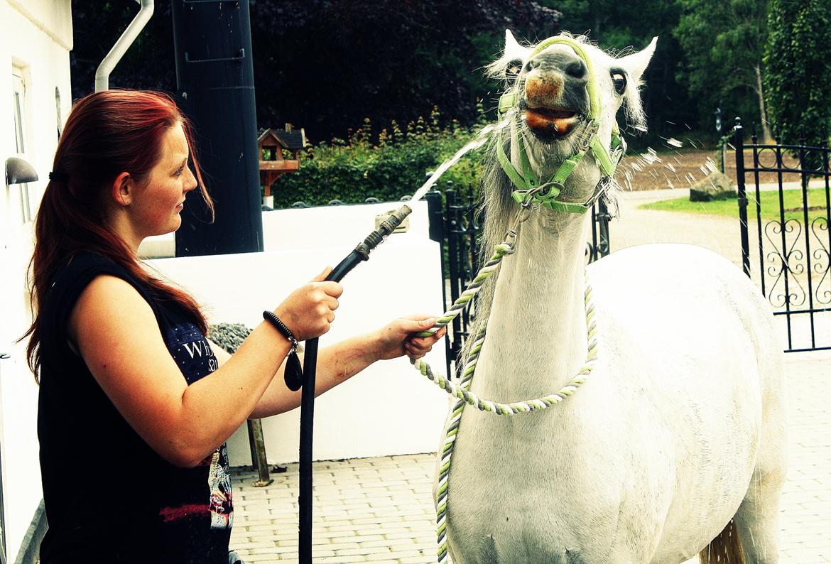 DSP Natash *Min soulmate&Dulle1* - “I have seen the best of you and the worst of you, and I choose both.”  billede 30