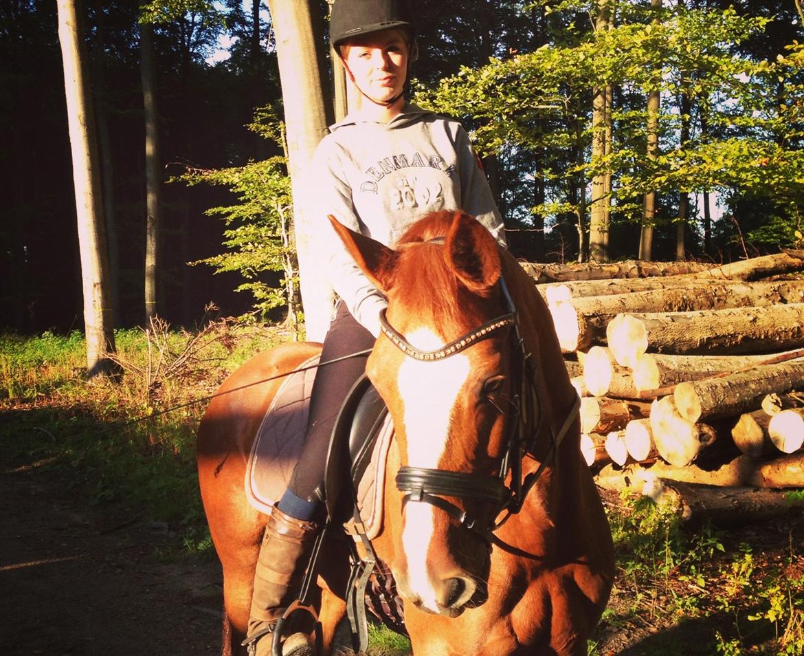 Connemara KÖHLS EVELINA B-PONY! - I skoven <3
5.9.2013 billede 7