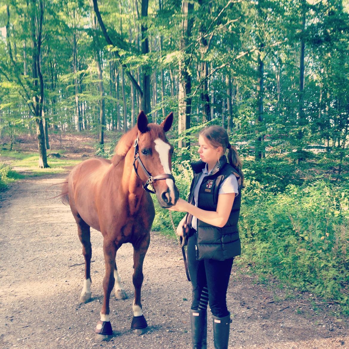 Connemara KÖHLS EVELINA B-PONY! billede 12