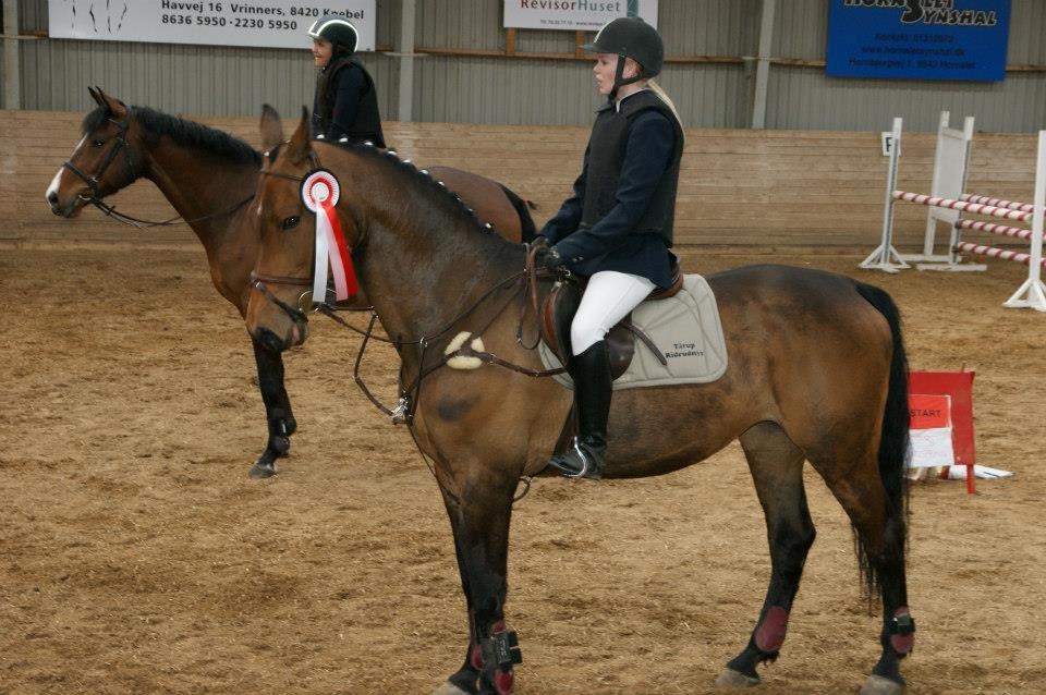 Zangersheide D. Chriesafie Z billede 10