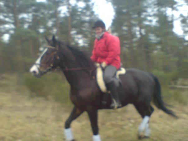 Anden særlig race Laban billede 5