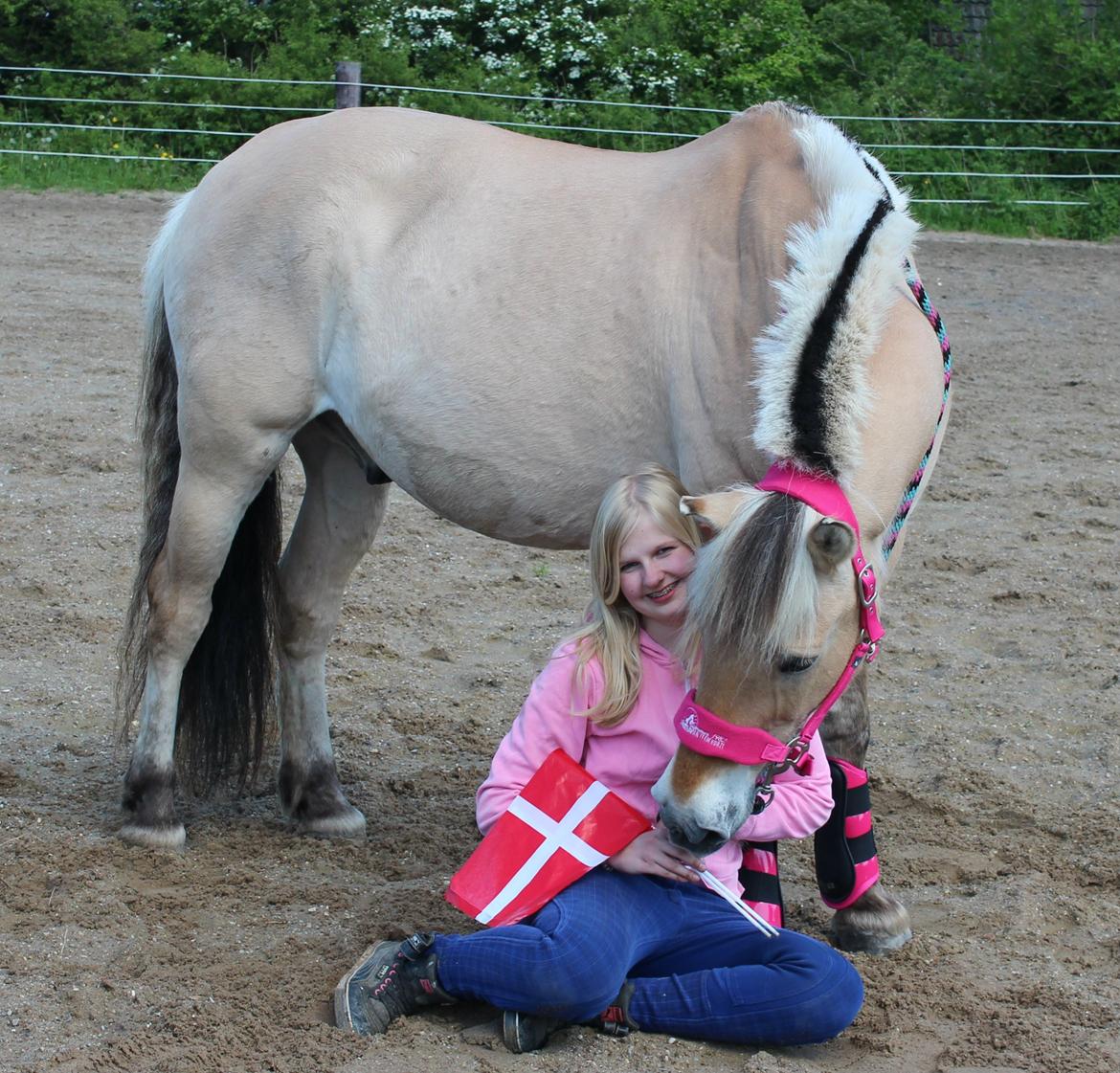 Fjordhest Gjønge  Frimann<3 Bedsteven! <3 - Gjønges 23års fødselsdag :) billede 5