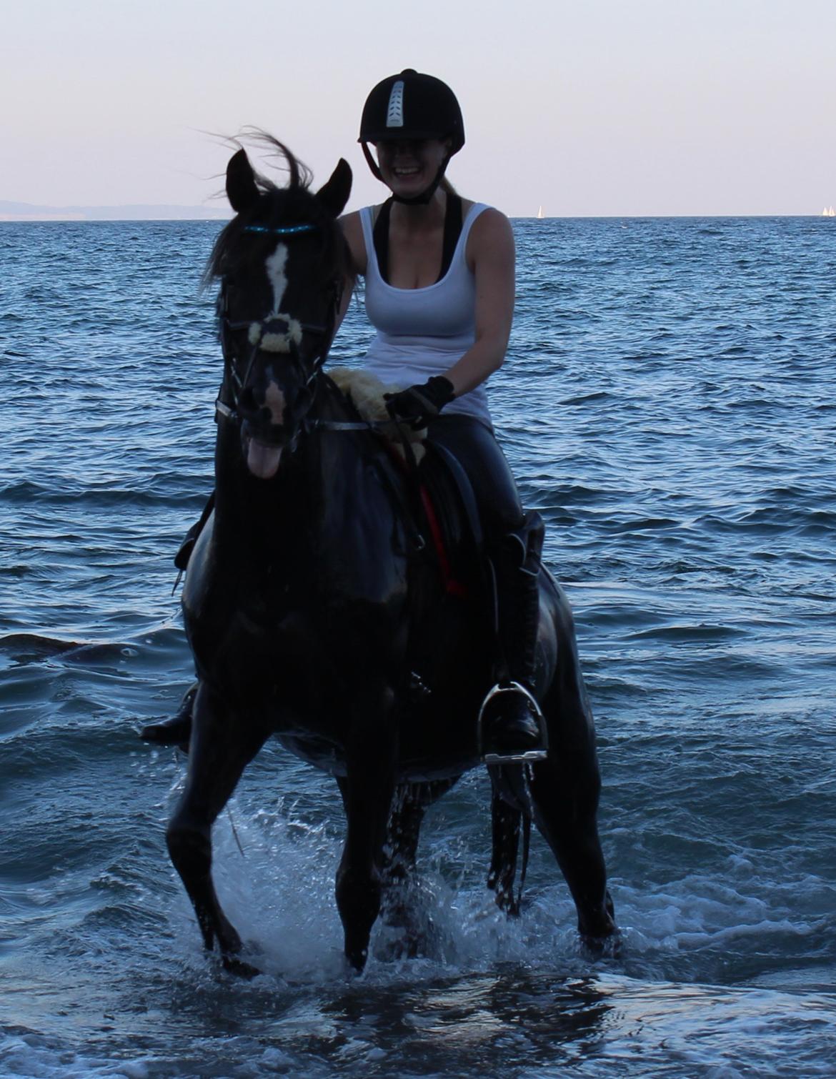 DSP Solvanggårds Diadem billede 19