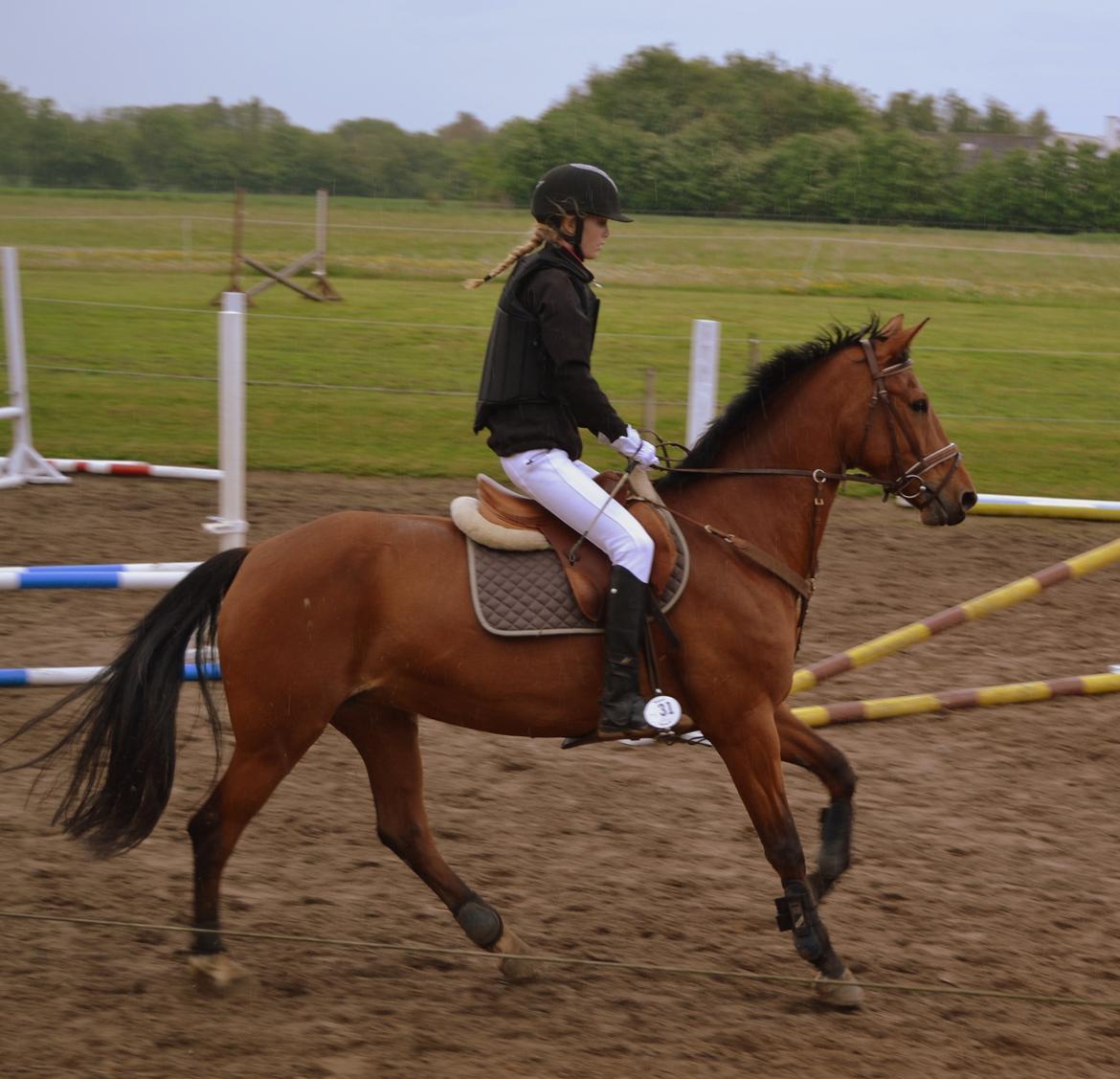 Anden særlig race Charming Miss Rico - Et billede fra vores første stævne billede 4