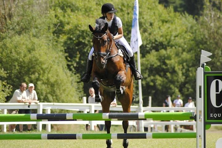 Holstener Coreano 3 - Jysk Rideuge 2013 billede 14