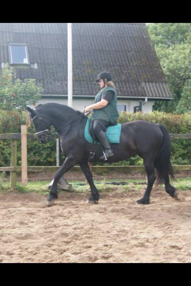 Frieser Zafir of Yderheden billede 9