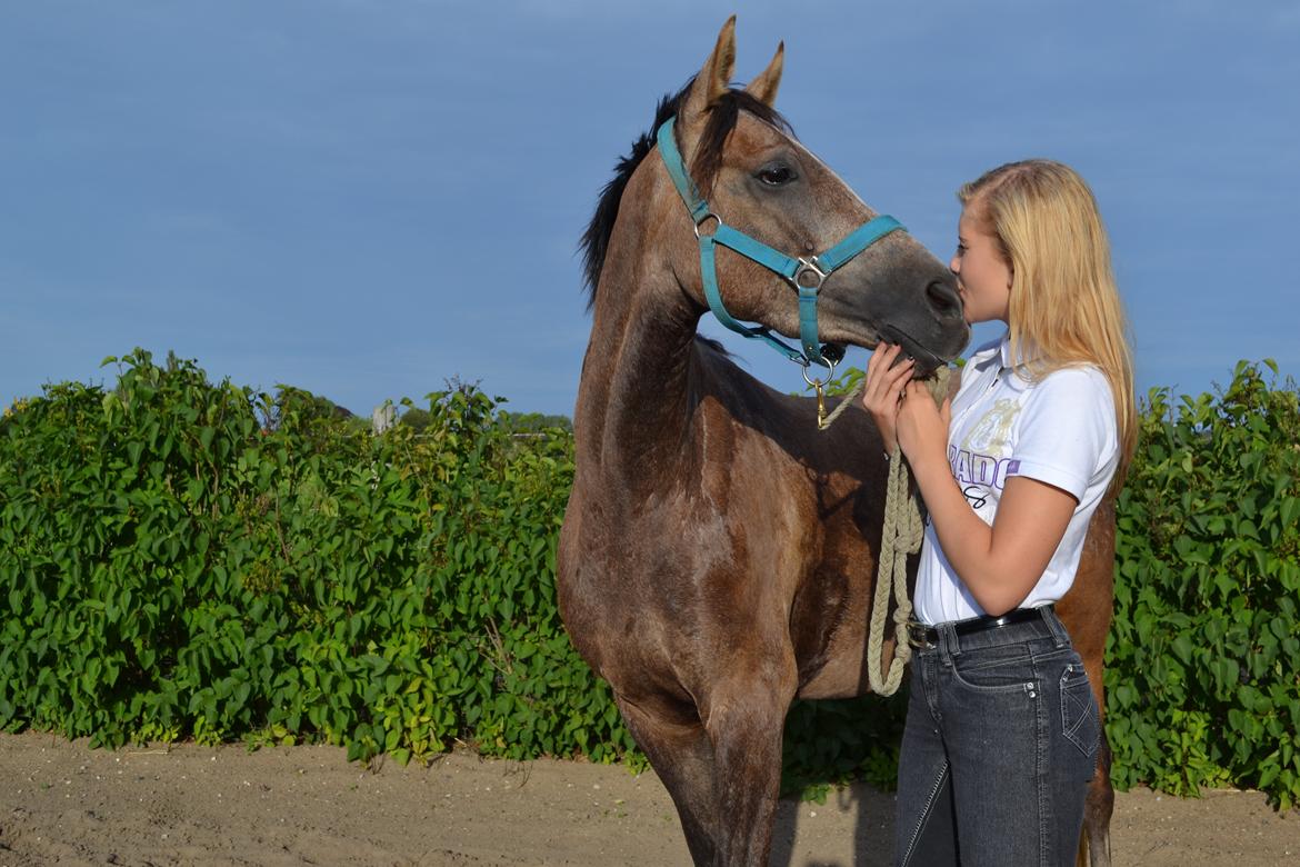 DSP Lundgårds Castillo billede 10