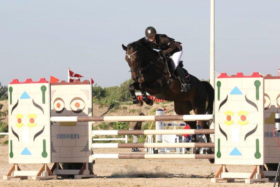 Hollandsk Varmblod Cavour - LA** landsstævne på Vilhemsborg, 0 fejl <3 <3 billede 7