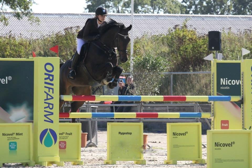 Hollandsk Varmblod Cavour - Mb*, Landsstævne på Vilhemsborg, en ærgerlige rytter fejl, så 4 fejl!<3 Men hesten var helt genial!! <3 billede 5