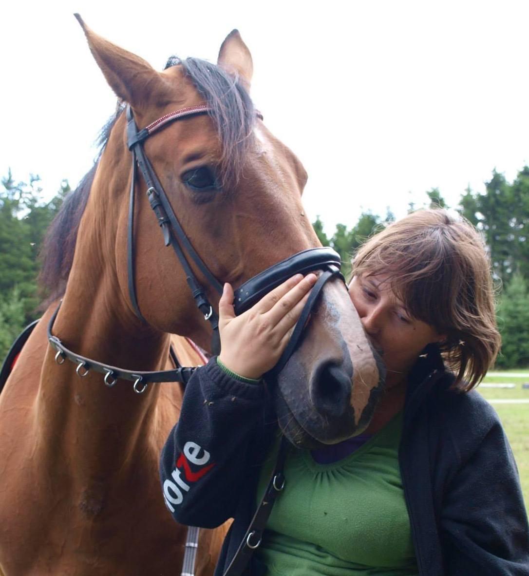 Dansk Varmblod Lelizers Lærkelund billede 2
