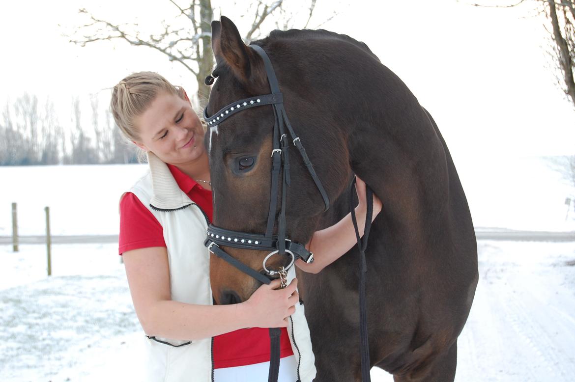 Dansk Varmblod Strækningens Rafael. Rest In Peace min skat :'( billede 4