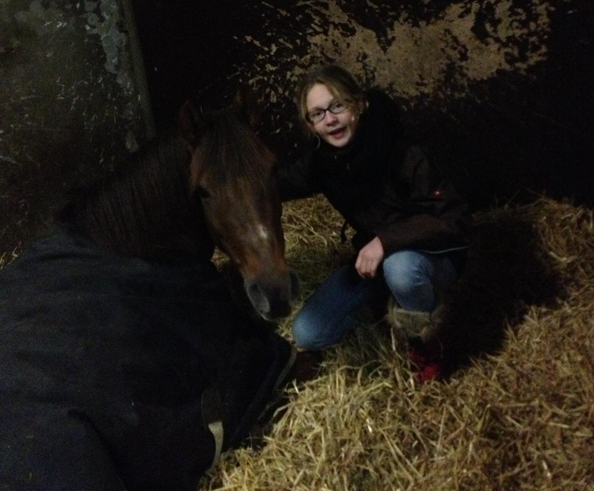 New Forest Danique *Pensionist* - Beskriver mere end tusinde ord!! <3 - Foto Kristine Bojsen billede 4