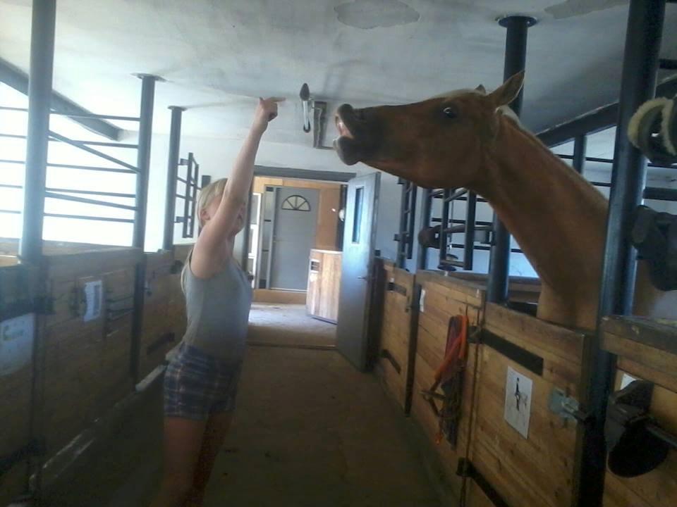 Tysk Sportspony Lavinia<3<3 - en af de første gange hun smiler:D billede 10