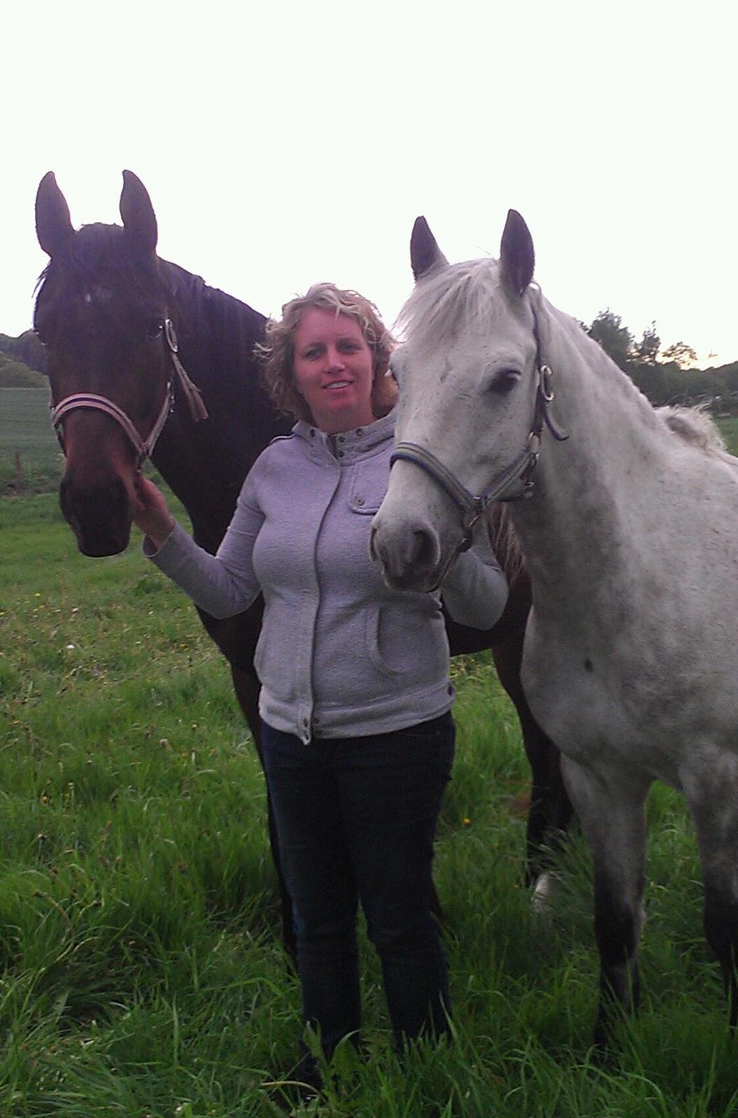 Dansk Varmblod Messi billede 20