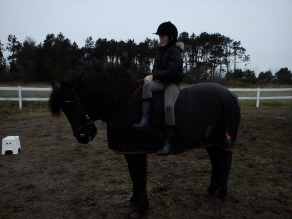 Islænder svertla - du så sød billede 5