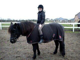 Islænder svertla billede 6