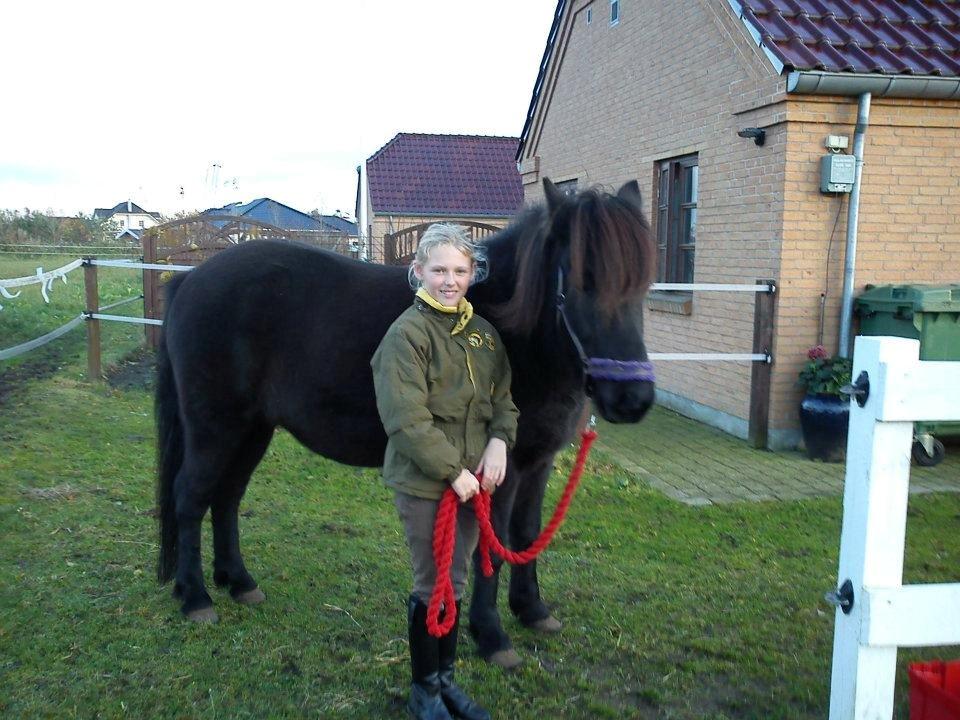 Islænder svertla - os 2 4 ever billede 9