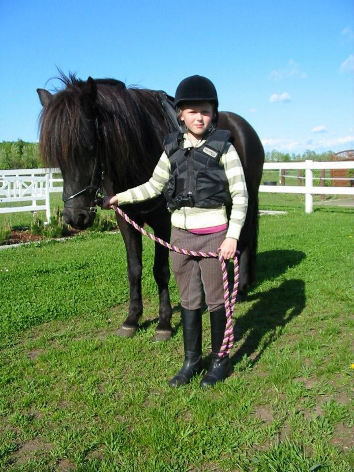 Islænder svertla billede 13