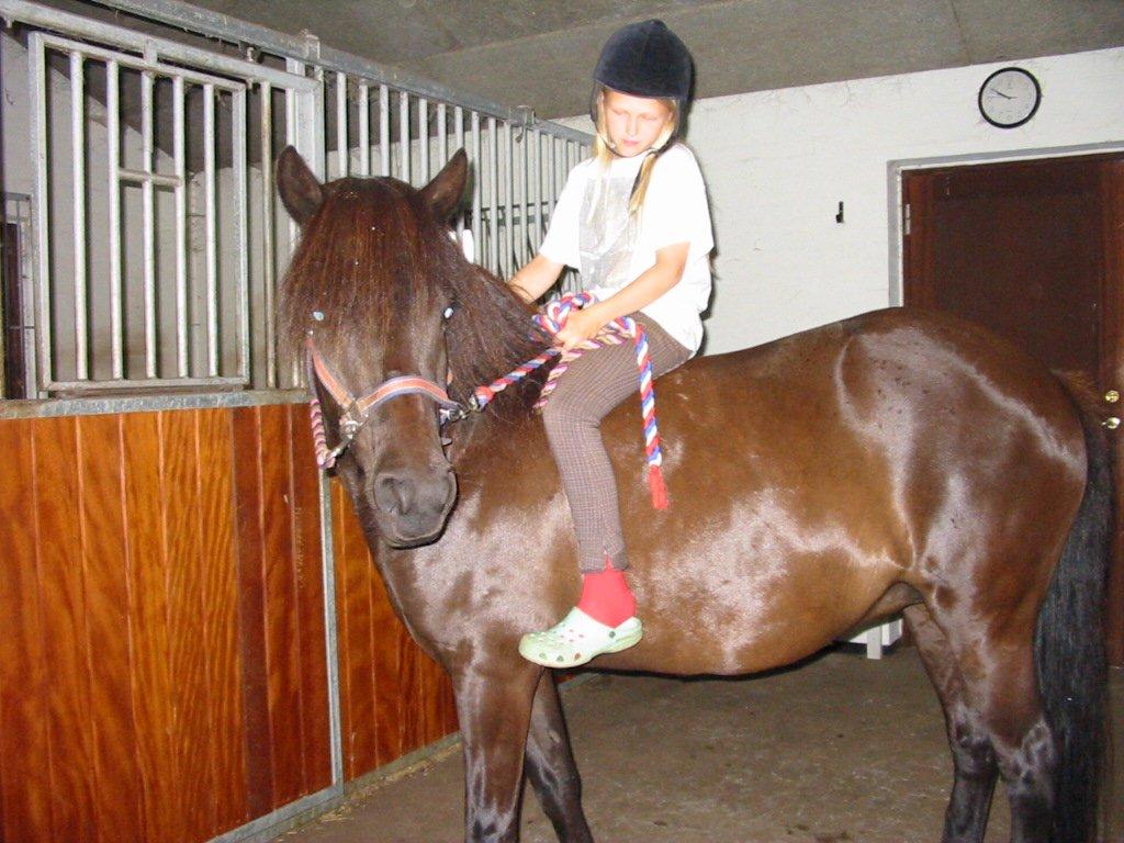 Islænder svertla - er man lidt lækker billede 15