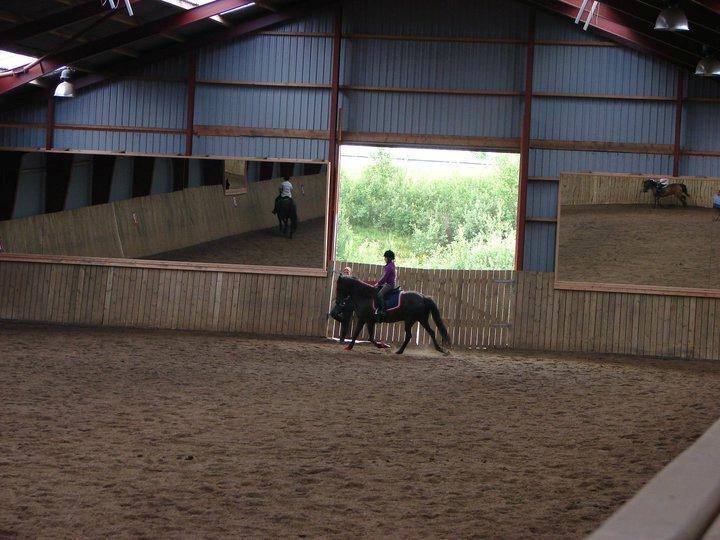 Islænder svertla - ridelejr billede 18