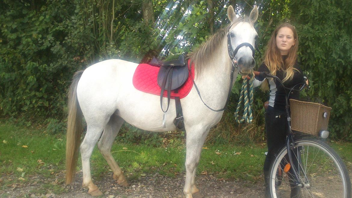 Anden særlig race Langholtgårds Lulu billede 4