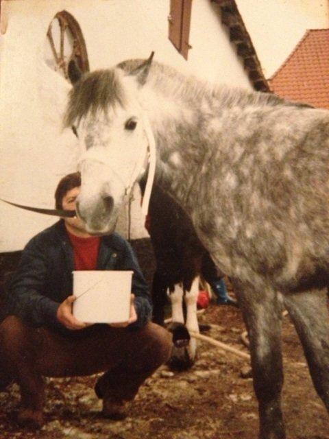 Anden særlig race Lady billede 12