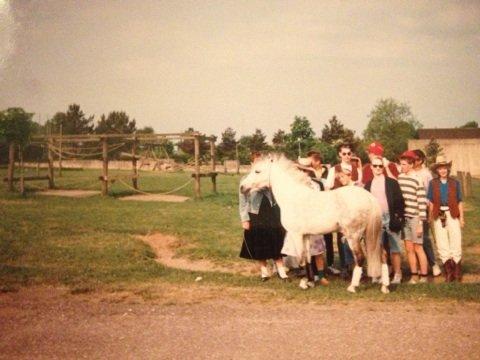 Anden særlig race Lady billede 13