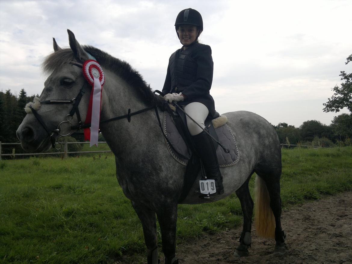 Anden særlig race Sugar billede 6