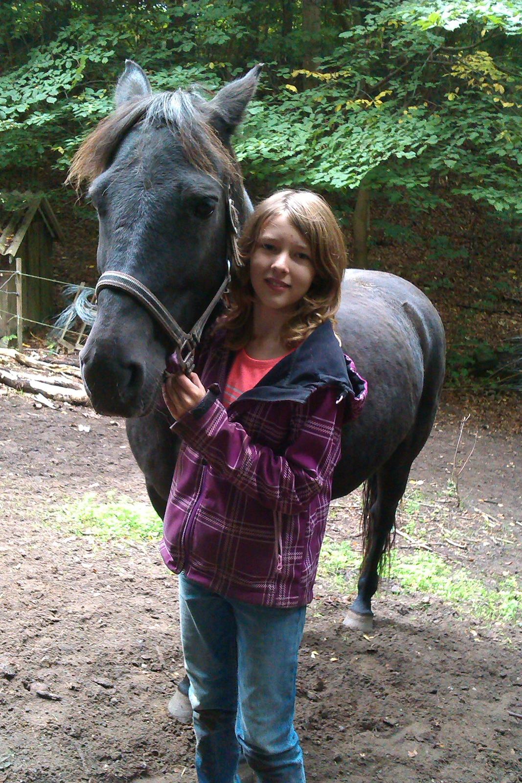 New Forest Martini hedevang - mig og Martini billede 12