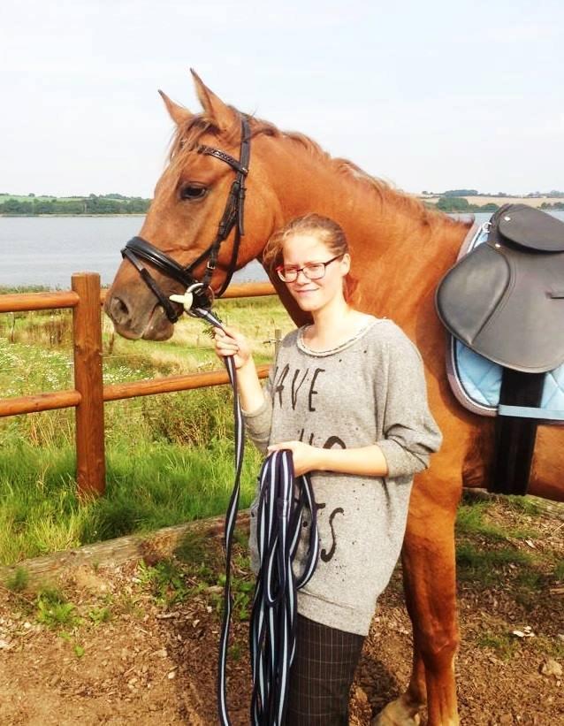 DSP Baily - En dejlig dag ude ved hesten billede 9