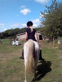 Anden særlig race Mille billede 5